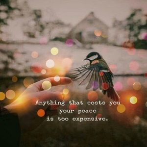 Meet your Posher, Sonam